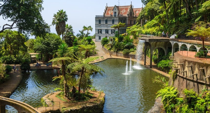 Is Funchal Worth visiting- tropical garden